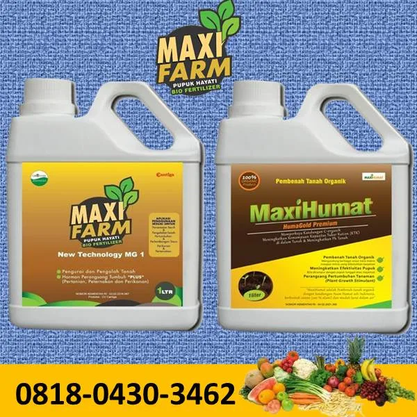 Maxifarm Pupuk Hayati Cair Terbaik untuk Pertanian Anda