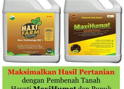 Pupuk Hayati Cair Berbasis Mikroba Pengurai