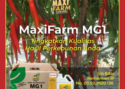 Asam Humat untuk Cabe