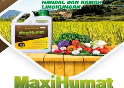 Manfaat Asam Humat Pertanian & Dosis Tepatnya