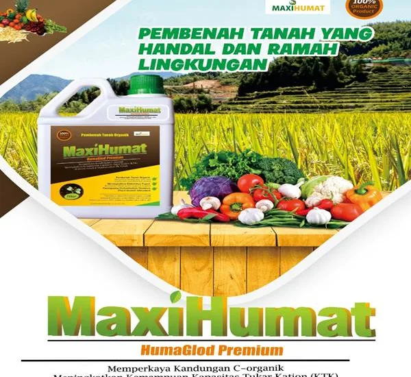 Manfaat Asam Humat Pertanian & Dosis Tepatnya