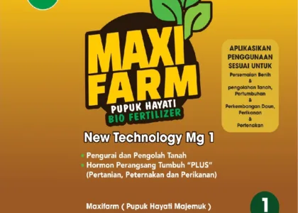 Pupuk Hayati Cair untuk Padi